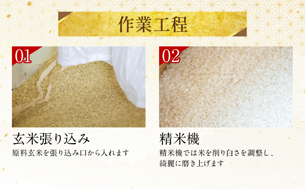 ã什å7幎ç£ã ãããã«ãª 5kgÃ2è¢ åèš10kg çæ¬ç å
«ä»£åžç£ ç±³ ãç±³ 粟米 çœç±³ åœç£