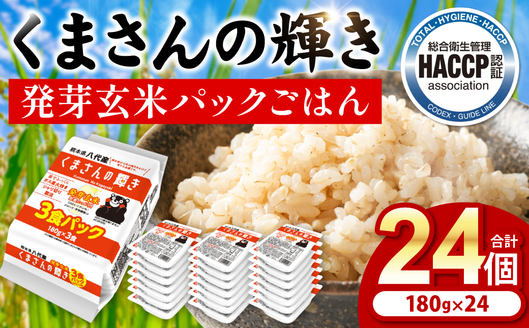 くまさんの輝き 発芽玄米 パックごはん 180g×24個入り 米 お米 コメ 熊本県産 国産 パックご飯 ひとり暮らし 非常食 防災 仕送り 備蓄