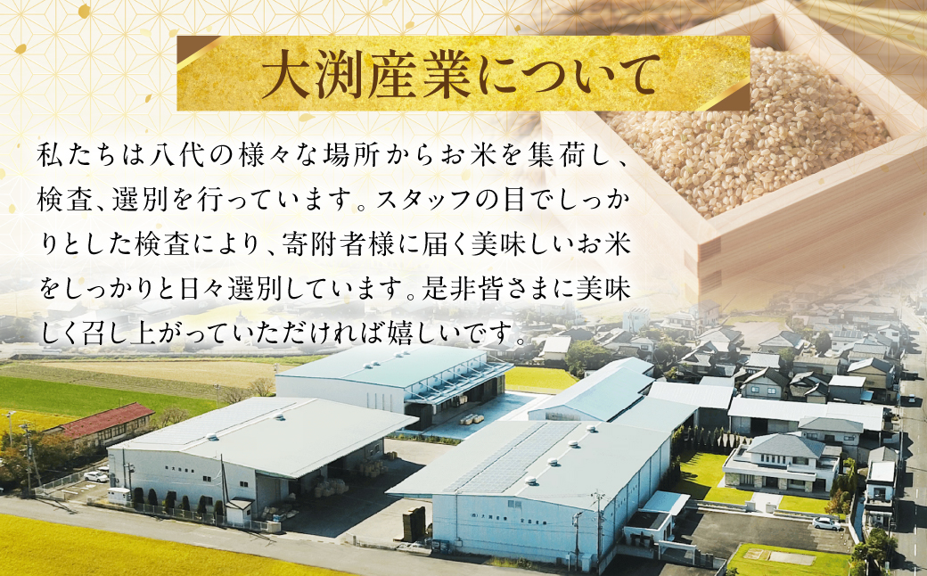 ããŸããã®èŒã çºèœçç±³ ããã¯ãã¯ã 180gÃ24åå
¥ã ç±³ ãç±³ ã³ã¡ çæ¬çç£ åœç£ ããã¯ã飯 ã²ãšãæ®ãã éåžžé£ é²çœ ä»éã åè