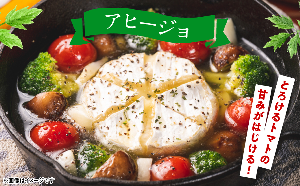 魅せる・美せる・味せる！「３み」一体ミニトマト！ 八代市産 トマト ミニトマト 約3kg 野菜 とまと 熊本県 八代市