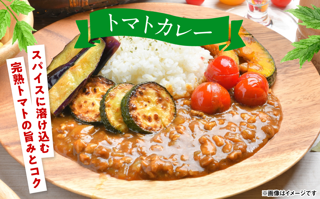 魅せる・美せる・味せる！「３み」一体ミニトマト！ 八代市産 トマト ミニトマト 約3kg 野菜 とまと 熊本県 八代市