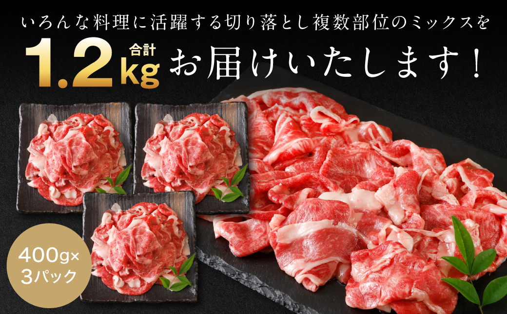 【訳あり】 くまもと黒毛和牛 切り落とし 1.2kg 毎月数量限定 ミックス 牛肉