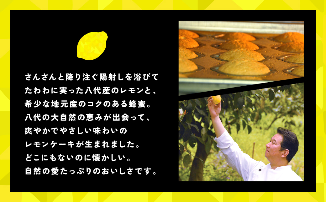 八代市産 レモン使用 レモンケーキ 5個 ボンブ 茶菓子 ケーキ スイーツ 洋菓子