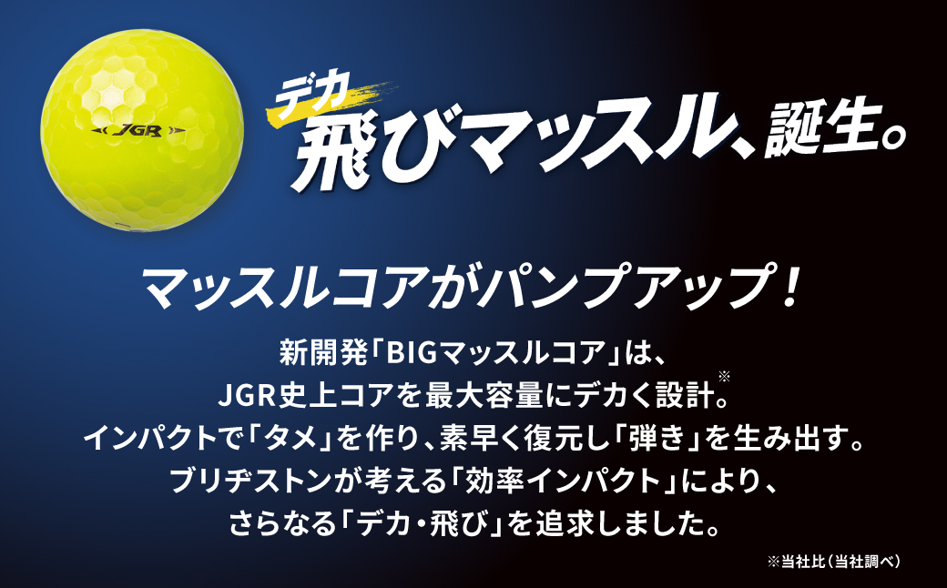 9月30日受付終了】【石工の郷八代オリジナル】 2023年モデル 日本遺産