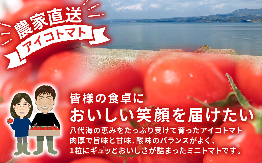 産地直送 八代産 アイコトマト 1kg ミニトマト 熊本県産