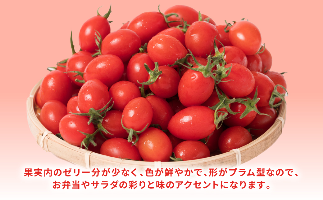 産地直送 八代産 アイコトマト 1kg ミニトマト 熊本県産|JALふるさと