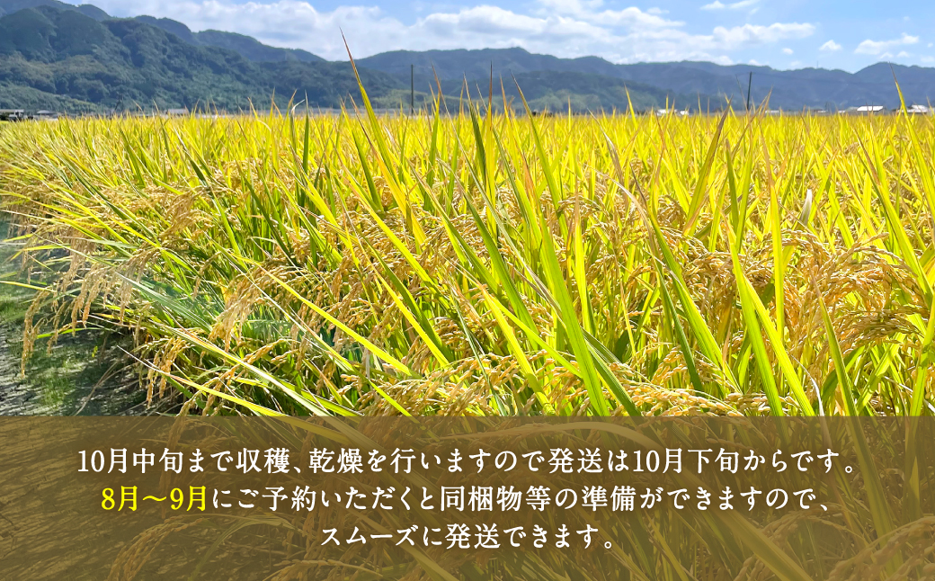 令和5年産米 自然栽培米 くらら 精米 5kg 米