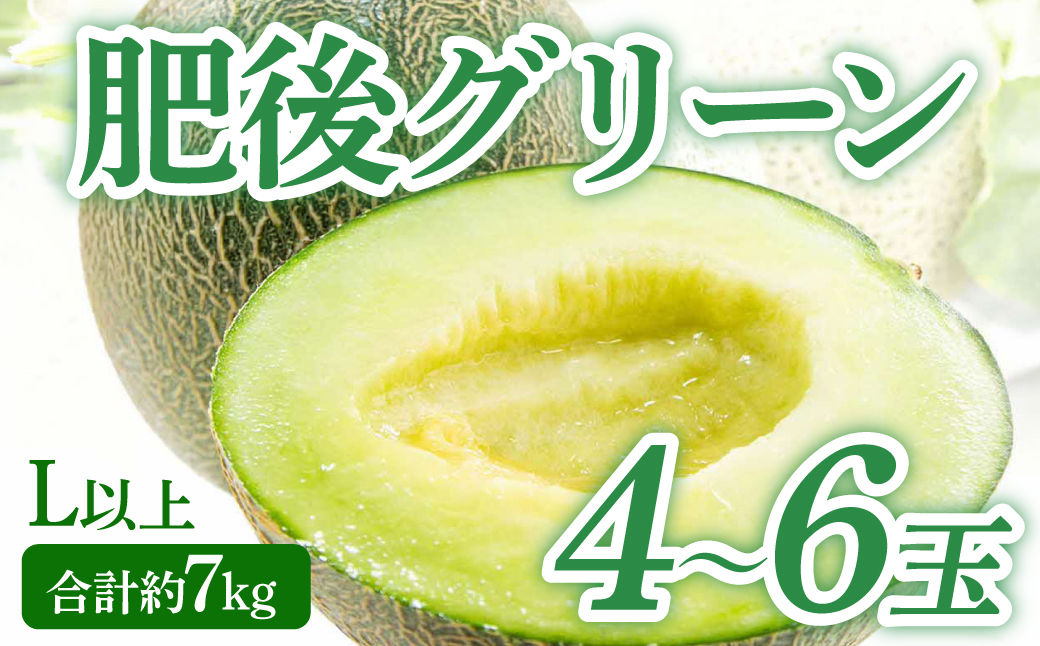 【先行予約】 熊本県八代市産 肥後グリーンメロン L以上  4～6玉 約7kg 果物 くだもの フルーツ 肥後グリーン メロン 青肉メロン 【2026年5月上旬より順次発送】