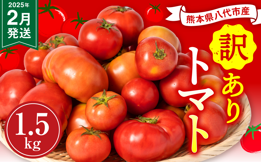 【訳あり】 八代市産 規格外トマト 1.5kg 熊本県 トマト 野菜【2025年2月発送】