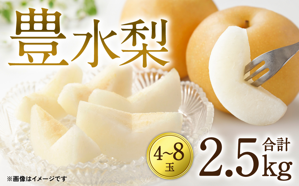 【先行予約】 豊水梨 2.5kg (4～8玉) 熊本県産 【2024年8月中旬より順次発送開始】