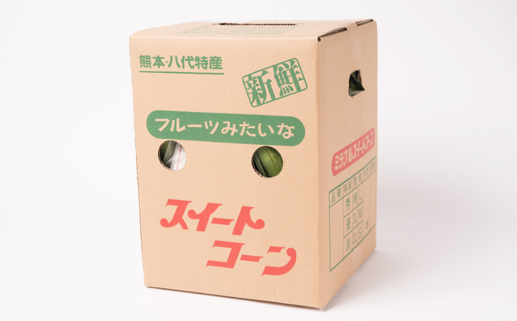 【先行予約】プリッとジューシー！ 熊本県 八代市産 スイートコーン ゴールドラッシュ 約4.5kg (13～16本) とうもろこし トウモロコシ コーン 甘い 朝採り 高糖度 BBQ  熊本県 八代市 【2026年6月上旬より順次発送】