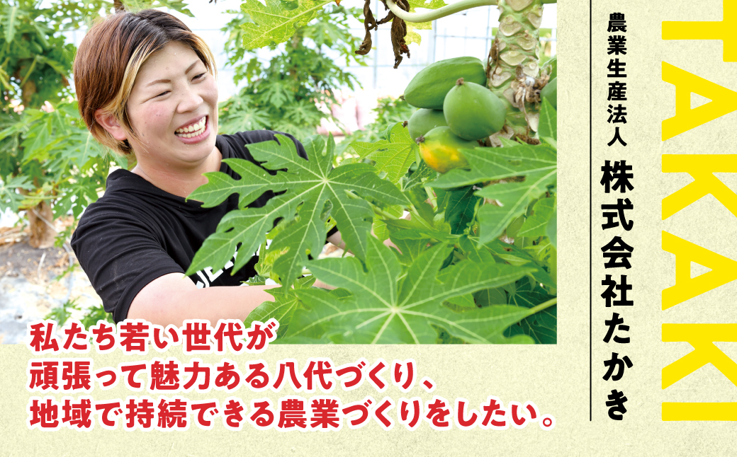 【先行予約】プリッとジューシー！ 熊本県 八代市産 スイートコーン ゴールドラッシュ 約4.5kg (13～16本) とうもろこし トウモロコシ コーン 甘い 朝採り 高糖度 BBQ  熊本県 八代市 【2026年6月上旬より順次発送】