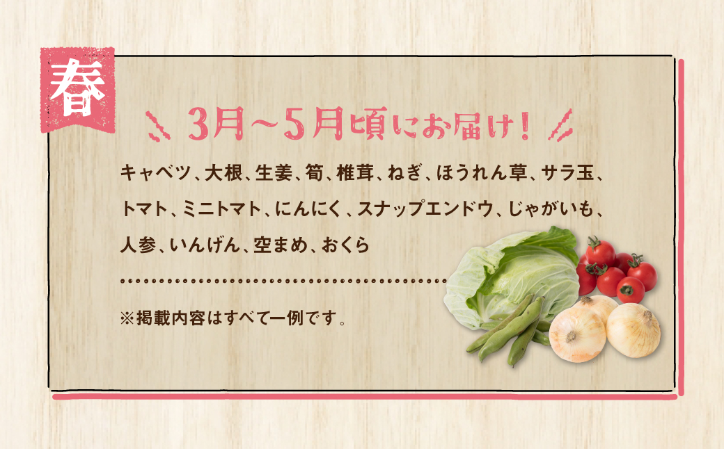 八代市産 旬の農産物詰合せ 復興 福袋 7品以上 野菜 果物 東陽地区