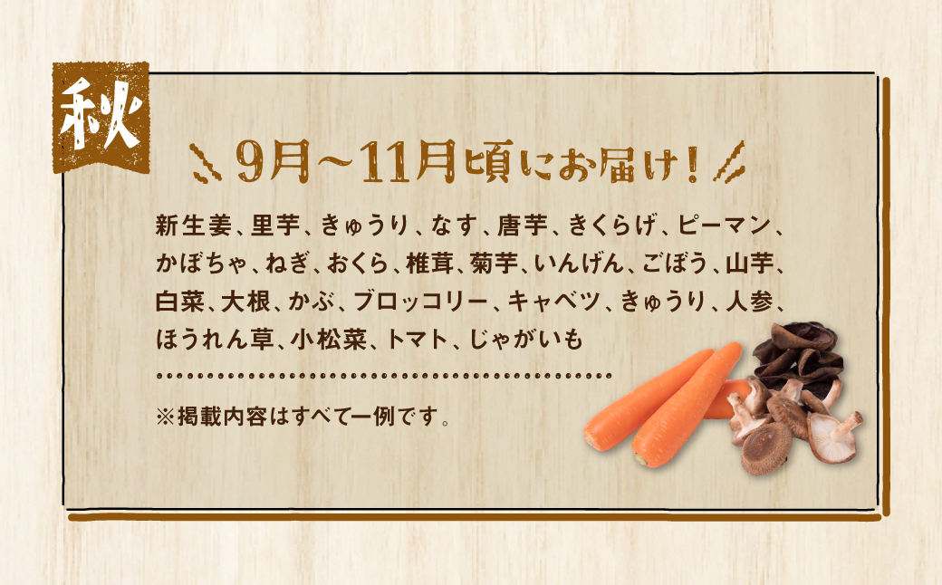 八代市産 旬の農産物詰合せ 復興 福袋 7品以上 野菜 果物 東陽地区