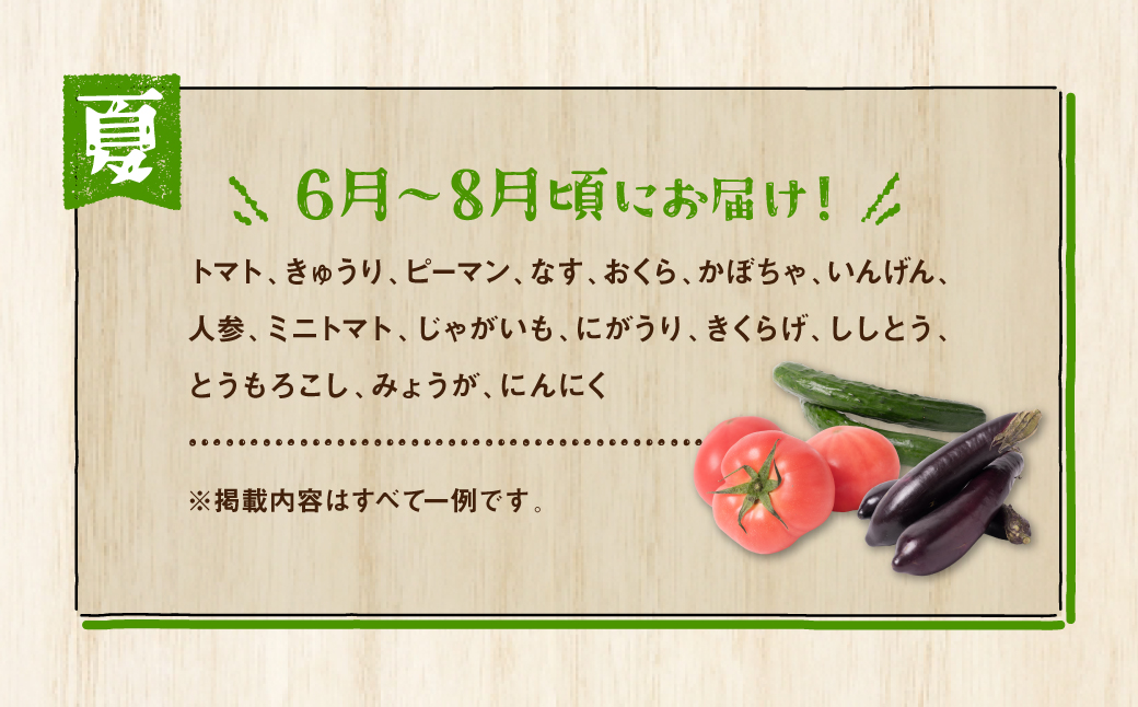 【2ヶ月に1回お届け】【定期便3回】八代市産！旬の農産物詰合せ 復興 福袋 7品以上