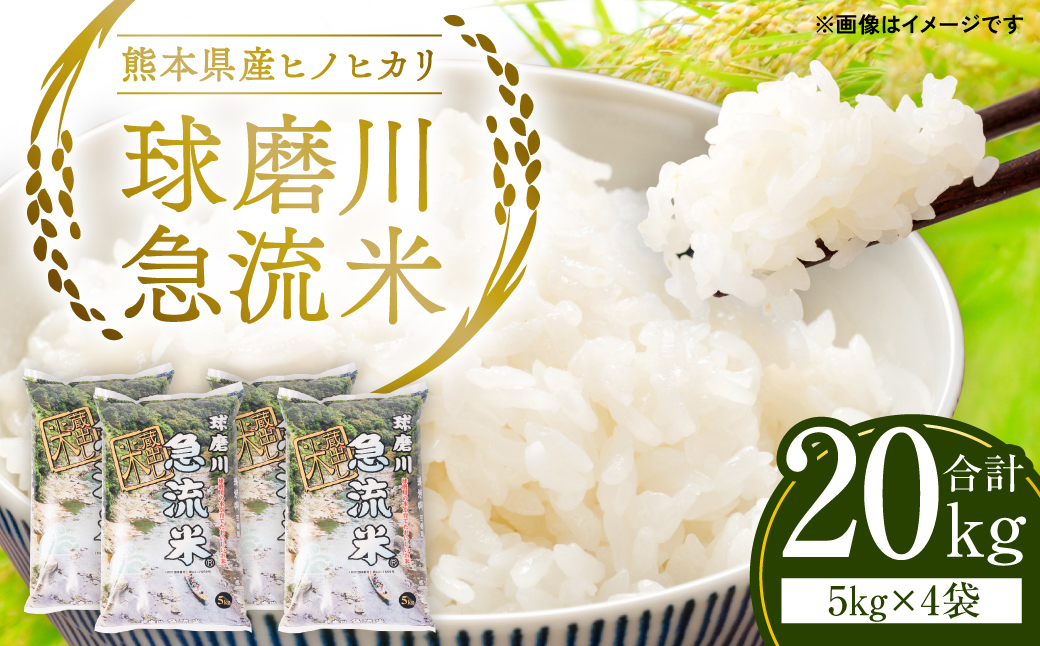 令和5年産】熊本県産 球磨川急流米 ヒノヒカリ 5kg×4袋 合計20kg|JAL