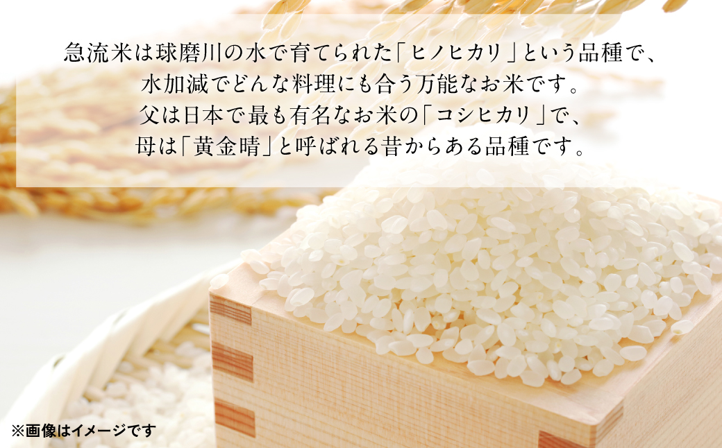 【令和5年産】熊本県産 球磨川急流米 ヒノヒカリ 5kg×4袋 合計20kg