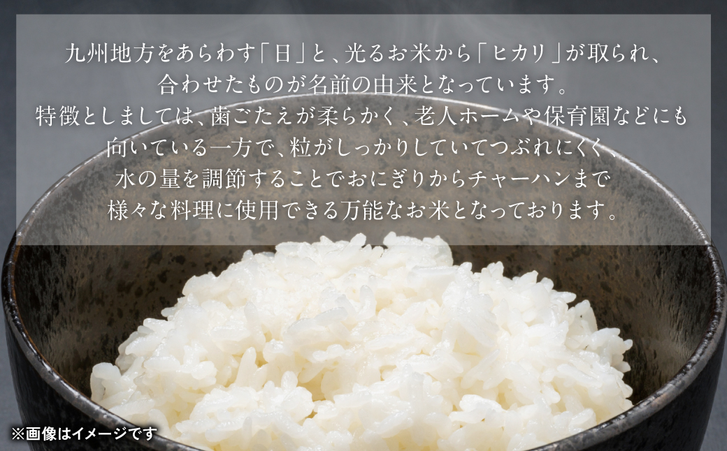 令和5年産】熊本県産 球磨川急流米 ヒノヒカリ 5kg×4袋 合計20kg|JAL