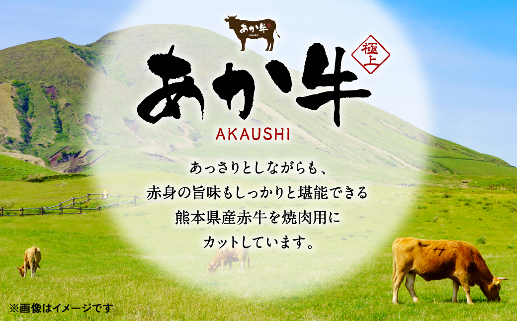 肥後のあか牛 焼肉用 1kg (500g×2) 熊本県産和牛 焼き肉