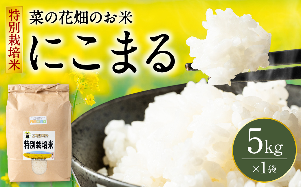 【令和7年産】 菜の花畑のお米 「特別栽培米」 5kg （5kg×1袋） にこまる 米 お米 精米 白米 ごはん ご飯 熊本