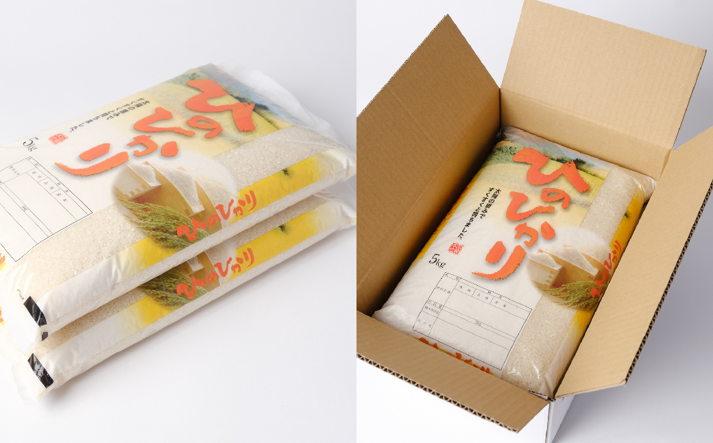 八代市産 ヒノヒカリ 10kg (5kg×2袋) 令和5年産 米 熊本 送料無料