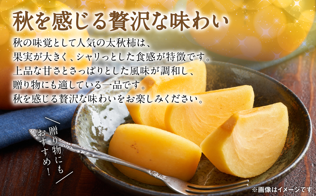 ãå
è¡äºçŽã å€ªç§æ¿ çŽ2kg (5ïœ8ç) ãã«ãŒã æç© ãã ãã® æ¿ ã«ã æ¬ çã ããã€ çæ¬ç å
«ä»£åž ã2026幎10æäžæ¬ããé æ¬¡çºéã