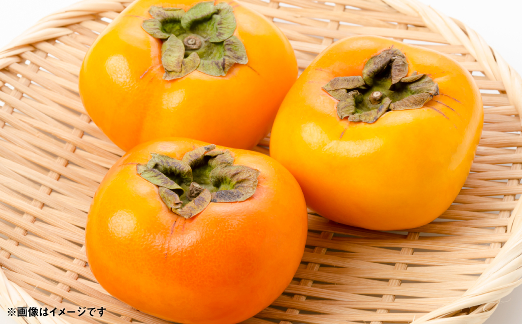 ãå
è¡äºçŽã å€ªç§æ¿ çŽ2kg (5ïœ8ç) ãã«ãŒã æç© ãã ãã® æ¿ ã«ã æ¬ çã ããã€ çæ¬ç å
«ä»£åž ã2026幎10æäžæ¬ããé æ¬¡çºéã