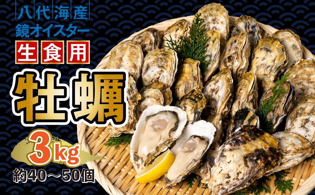 【先行予約】牡蠣 鏡オイスター 生食用 3kg 生かき 新鮮【2024年12月中旬より順次発送】