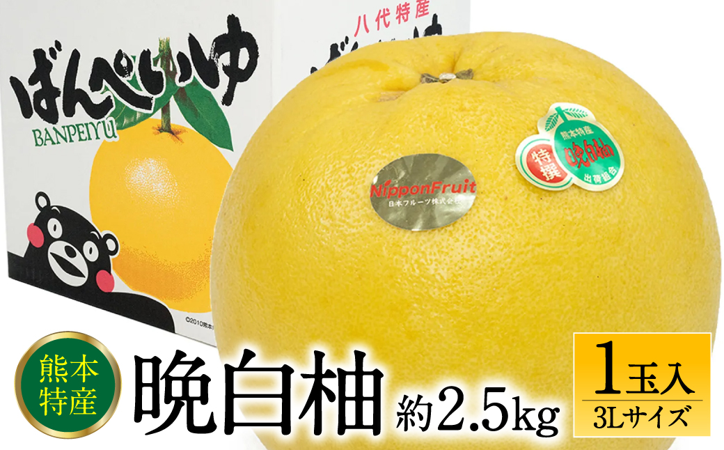 【先行予約】 晩白柚3Lサイズ 1玉入り 約2.5kg 【2024年12月中旬より順次発送】