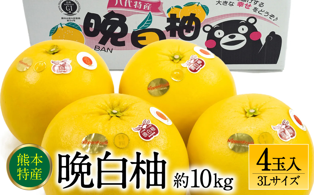 【先行予約】 晩白柚3Lサイズ 4玉入り 約10kg 【2024年12月中旬より順次発送】