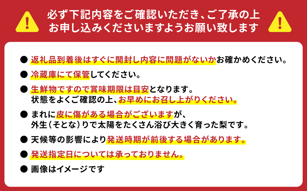 【先行予約】熊本県産 豊水梨 14玉（約5kg） ほうすいなし 果物 フルーツ【2025年8月上旬より順次発送】