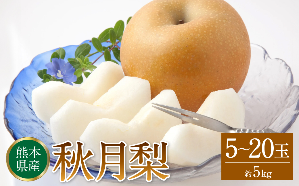  秋月梨 約5kg (5～20玉) 