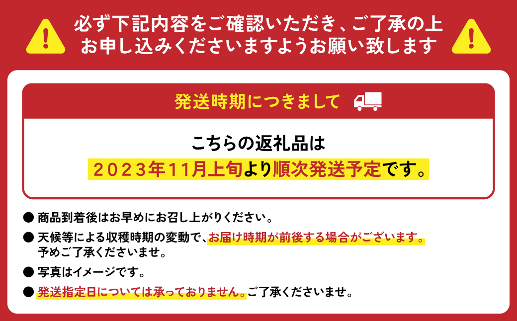 先行予約】【訳あり】八代産 トマト 2kg【2023年11月上旬より順次発送