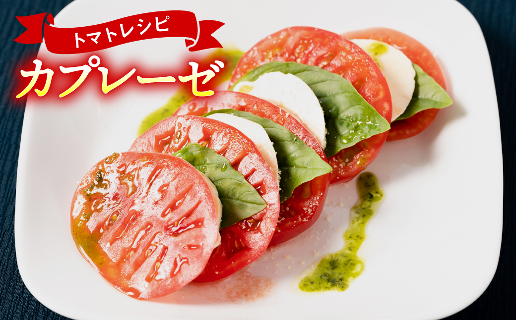 【順次発送】 【訳あり】 八代市産 規格外トマト 4.5kg 熊本県 トマト 野菜