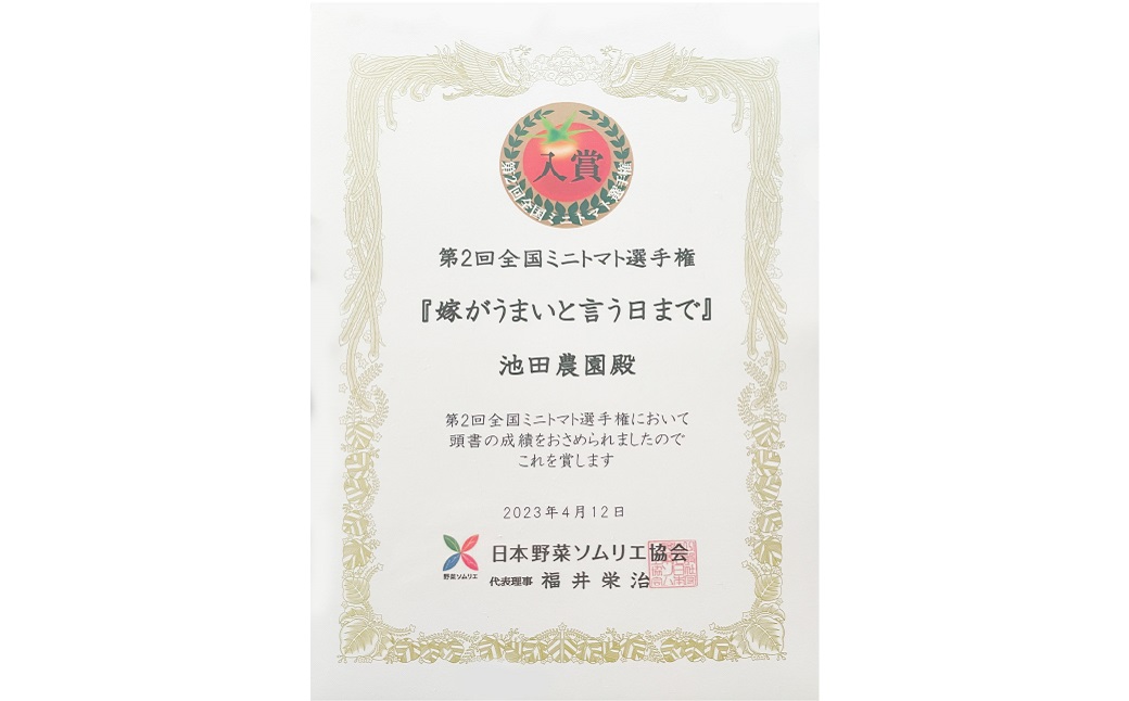 【先行予約】嫁がうまいと言う日まで ミニトマト 800g 八代市産 ミニトマト 新鮮 野菜【2024年12月上旬より順次発送】