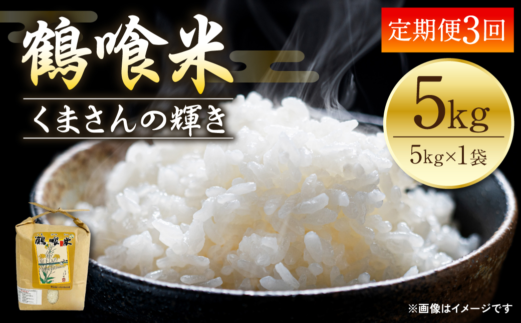 【定期便3回】 《令和7年産》 鶴喰米 精米5kg くまさんの輝き 米 精米 白米 熊本県産 国産