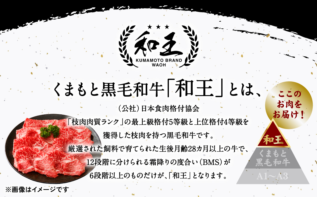 極和王シリーズ くまもと黒毛和牛 焼肉ロース 500g 熊本県産 牛肉