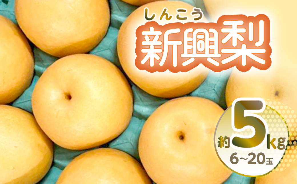 【先行予約】新興梨 約5kg 6-20玉 梨 なし 熊本県産【2025年10月上旬より順次発送】