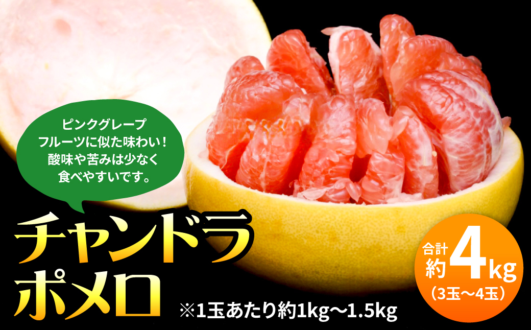 チャンドラポメロ 約4kg（3玉-4玉）