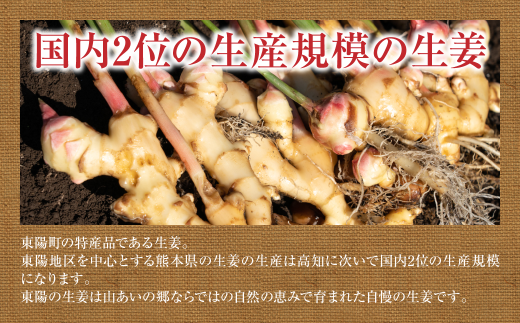 【先行予約】 熊本県八代市産 新生姜2kg 季節限定 しょうが ショウガ ガリ ジンジャー 野菜 食品 温活 冷え対策 旬 【2026年9月上旬より順次発送】
