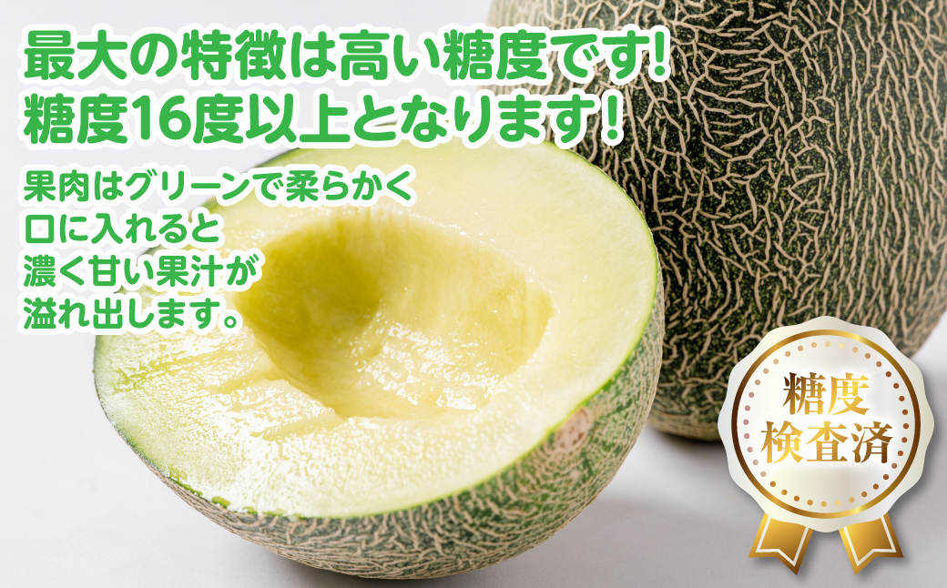【先行予約】高糖度 2026年 八代産 肥後グリーンメロン 3Lサイズ以上 1玉 化粧箱入 お中元 夏 ギフト メロン めろん フルーツ 期間限定 【2026年5月中旬より順次発送】