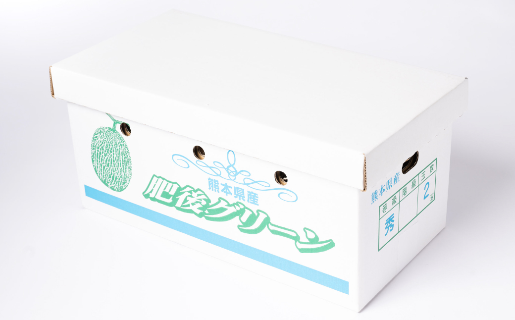 【先行予約】高糖度 2026年 八代産 肥後グリーンメロン 3Lサイズ以上 1玉 化粧箱入 お中元 夏 ギフト メロン めろん フルーツ 期間限定 【2026年5月中旬より順次発送】