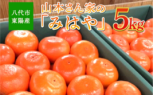 【先行予約】 八代市東陽産 山本さん家の「 みはや 」 5kg みかん 柑橘 フルーツ 果物 果実 ミカン 蜜柑 熊本県 八代市 【2026年12月上旬より順次発送】