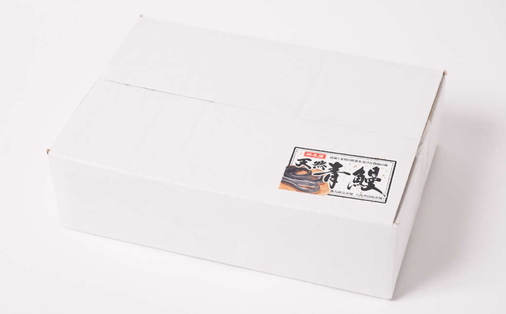 熊本県八代市産 天然うなぎ白焼き(中) 2本 (計300～350g) 蒲焼のたれ付き 鰻 国産 蒲焼 ウナギ うなぎ 冷凍