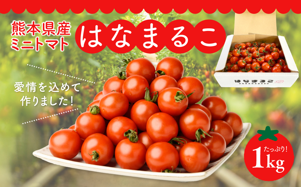 【順次発送】熊本県産 ミニトマト はなまるこ 1kg 野菜 旬 熊本 とまと