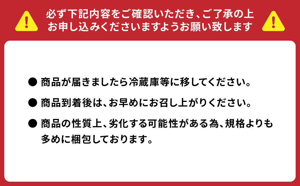 【先行予約】熊本県産 トマト はなまるお 4kg トマト とまと 八代市産 【2024年11月上旬より順次発送】