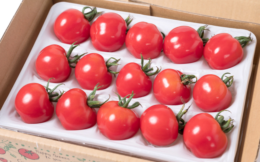 セレーナトマト 大粒 15個 400g以上 八代市産  宮島農園