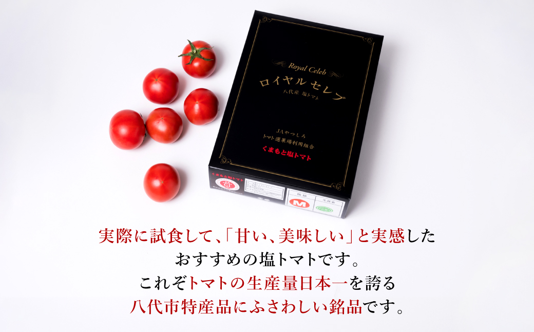 【先行予約】 くまもと塩トマト「ロイヤルセレブ」 1kg (糖度10度以上：9～16個入り) 【2025年1月上旬より順次発送】