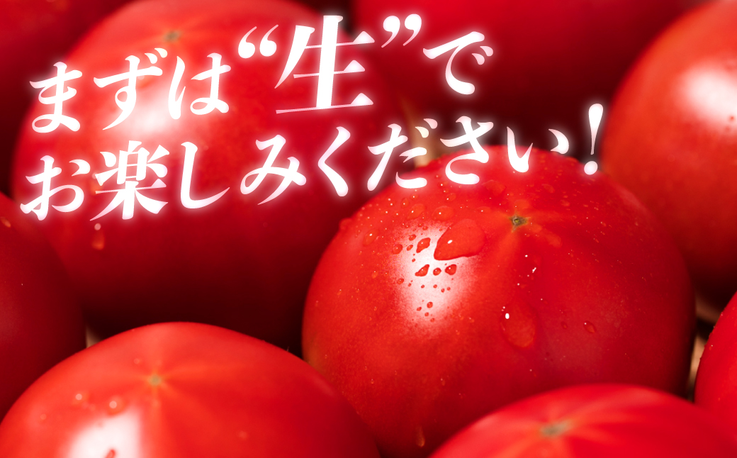 【先行予約】 くまもと塩トマト「ロイヤルセレブ」 1kg (糖度10度以上：9～16個入り) 【2025年1月上旬より順次発送】