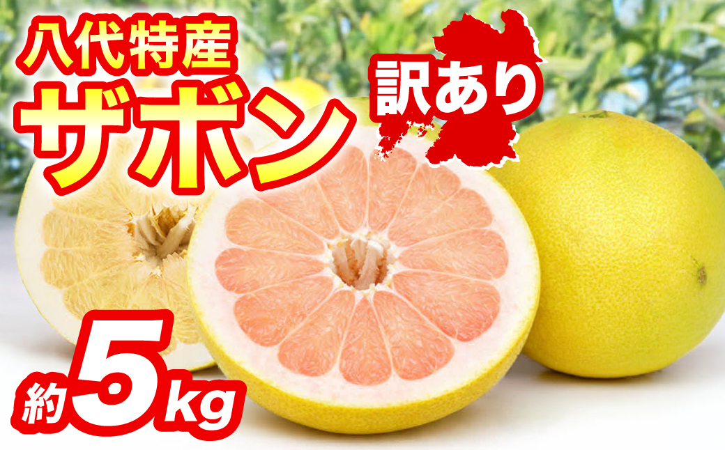【先行予約】 【訳あり】 八代ザボン (赤肉または白肉) 約5kg (3～6玉)  果物 くだもの 果汁 柑橘 おやつ フルーツ デザート 熊本県 八代市 【2026年11月上旬より順次発送】